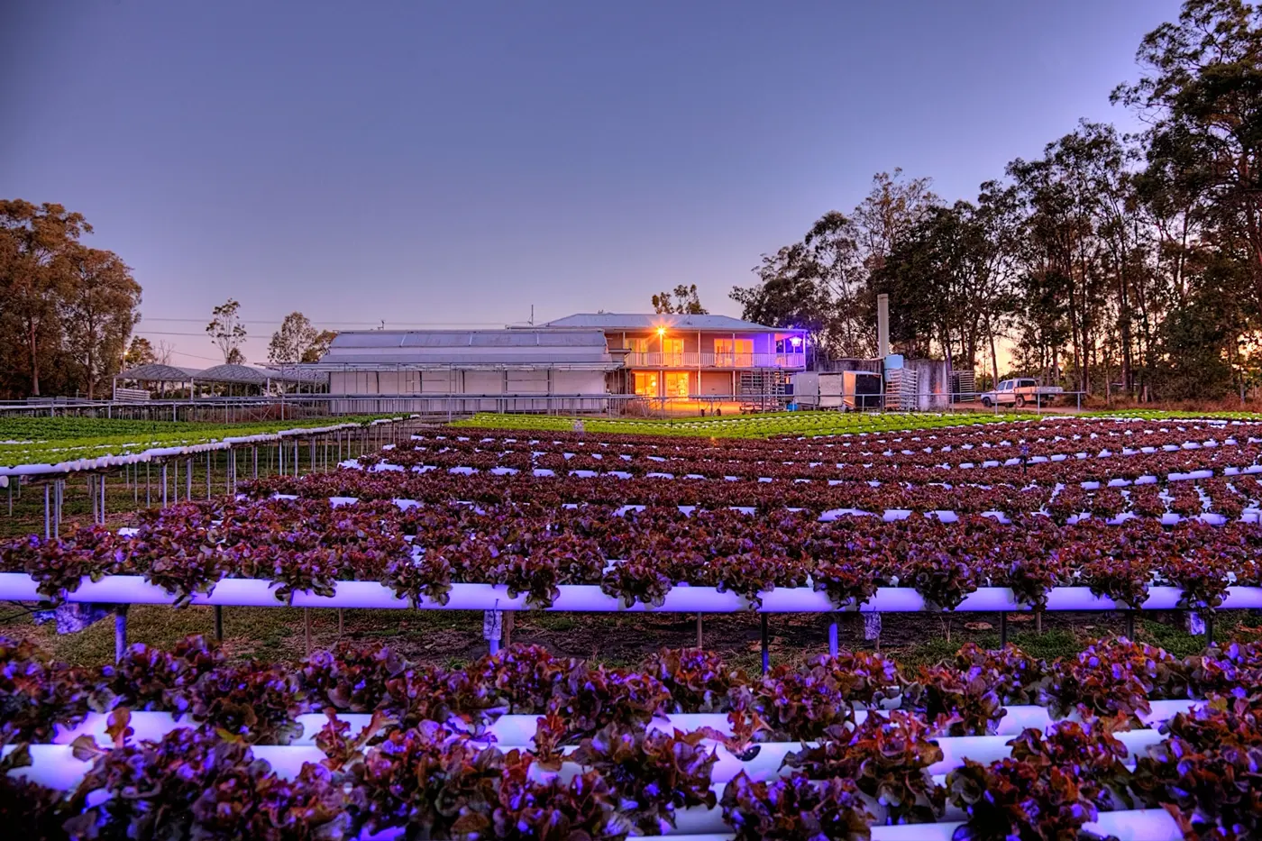 Fancyleaf hydroponic farm at night