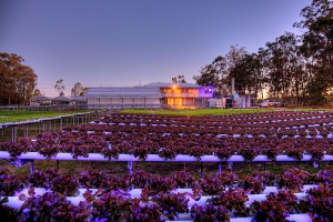 Farm at night